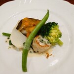 マルコポーロ - 