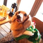 バロワーテラス - 