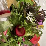 レフェルヴェソンス - 