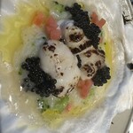 レフェルヴェソンス - 