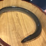 銀座 四代目 高橋屋 - うなぎ半分白焼半分鰻重って贅沢だなぁ〜