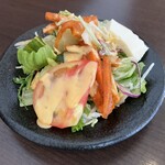 サベラ ティッカ ビリヤニ - サラダにはトレードマークのように豆腐が乗ってます