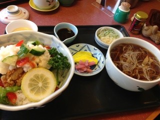 のとや - 母の【さっぱり鶏から丼セット】