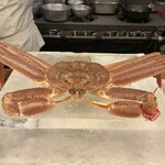 粋京 - オス(　ﾟдﾟ)