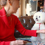 アレヴェリー テラス - Want some cookies?