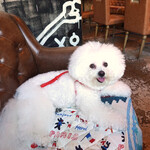 アレヴェリー テラス - 当然ながら大満足の笑顔