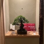 東茶屋 なかむら - 