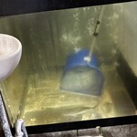 げんき亭 - 水素の真鯵を掬う店主の娘さん