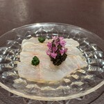 イル アオヤマ - 