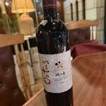 横浜瀬里奈 ステーキドーム - 