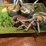 横浜瀬里奈 ステーキドーム - 