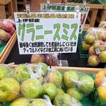 やまびこテラス - 