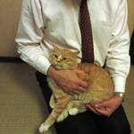 森のおはな - 「となりの虎」