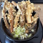 田舎そば 一良庵 - 料理写真:ごぼう天1300円(温)＋手打ち200円