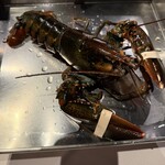 バルマルシェコダマ ステーキ&ロブスター アトレ目黒店 - 