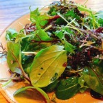 オービカ モッツァレラバー - 