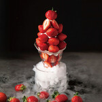 ARROW TREE - メイン写真: