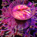 EN TEA HOUSE 幻花亭 - 