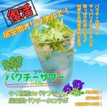 居空間　タイ料理＆パクチー酒場 - 