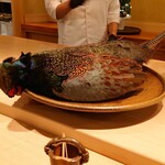 淡流 - 中江店主が狩猟したキジ