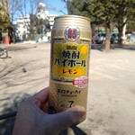 ケンタッキーフライドチキン - ＜参考画像＞スギ薬局で購入。ビールは高かったので缶チューハイで我慢した
