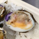 Lobster Place Seafood Market - Littleneck Clam