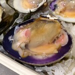 Lobster Place Seafood Market - Cherrystone Clam