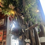 魔女のちいさな森のハンバーガー - エレベーターで4F ドア開いたらもう違う世界が　