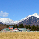 清泉寮 ファームショップ - 雪化粧した八ヶ岳をバックに