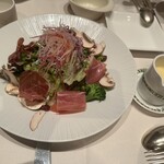 バード・ウォッチ・カフェ - 