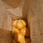 器ながやFLK - 金柑です〜嬉しい