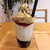 オランジェ カフェウッド - 料理写真:横からの図
