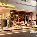 シャイニーアウル - 