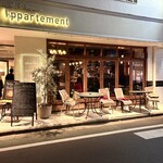 シャイニーアウル - 