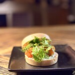 シャイニーアウル - 