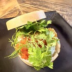 シャイニーアウル - 