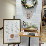 シナグロ オーガニックサラダ＆カフェ - 