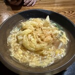 讃岐うどん かいと - 海鮮かき揚げかいと普通盛り