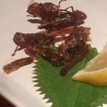 Chinjuuya - 閲覧注意！！
                        
                        
                        
                        
                        コオロギの揚げ物★
                        ビジュアルさえクリアすれば大丈夫！
                        海老のしっぽみたいな殻の味！