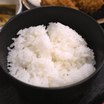 食堂もり川 - 生牡蠣フライ定食(半ライス@-30円)@税込1,600円 │ 平日19:42頃訪問