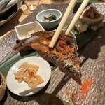 美食酒場 No.19 - 【2026.1.9(金)】8種盛り2,000円