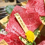 焼肉割烹 YP流 西心斎橋店 - 