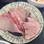 漁協食堂 - 本日のお刺身（カジキ・カジキのハラゴ・アカマチ）