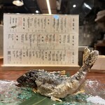 三茶 ユキツバキ - 