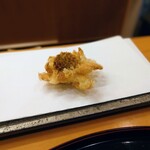 天ぷら 車 - ふきのとう 202601