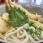 まるやすうどん - 