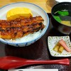 うなぎ処 鰻天 - 料理写真:ボクの鰻丼