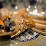 趙楊 - 醉蟹（ゑはせがに）