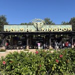 Starbucks - アニマルキングダム