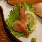 特攻チキン野郎 加世堂 - 刺し盛りに忘れられたタカエビ